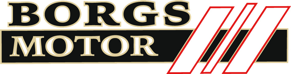 BORGS MOTOR